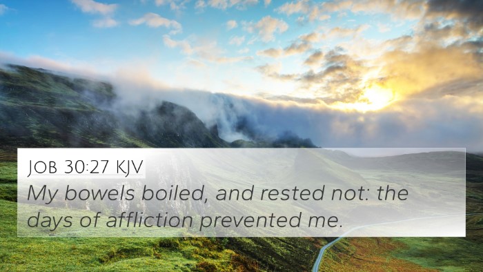 Job 30:27 KJV Bible Verse Image