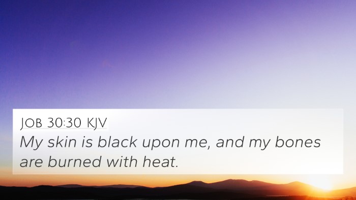 Job 30:30 KJV Bible Verse Image