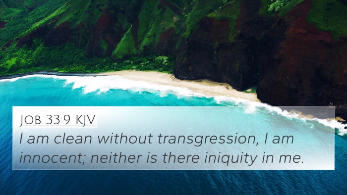 Job 33:9 KJV Bible Verse Image