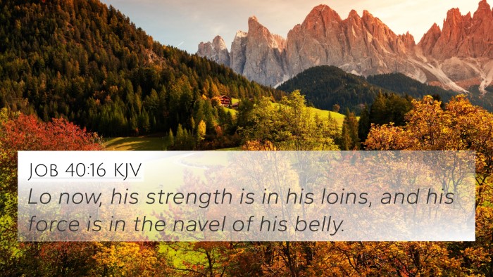 Job 40:16 KJV Bible Verse Image
