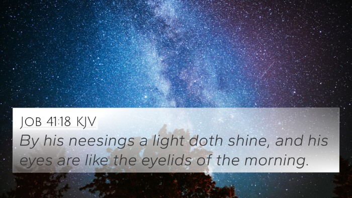 Job 41:18 KJV Bible Verse Image