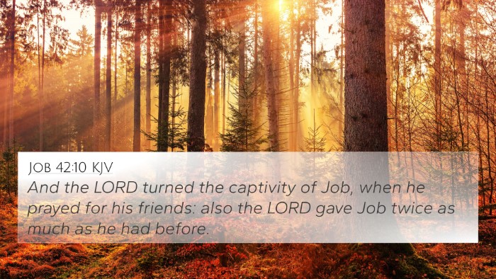 Job 42:10 KJV Bible Verse Image