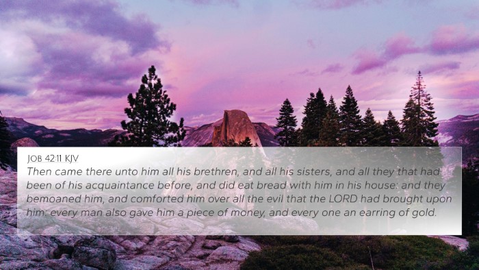 Job 42:11 KJV Bible Verse Image