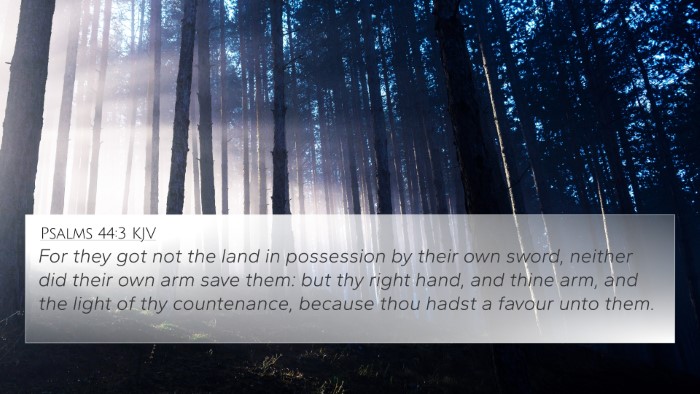 Psalms 44:3 KJV Bible Verse Image