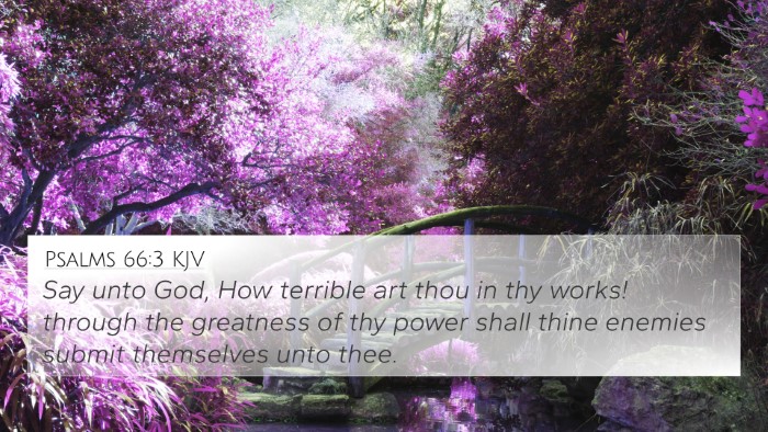 Psalms 66:3 KJV Bible Verse Image