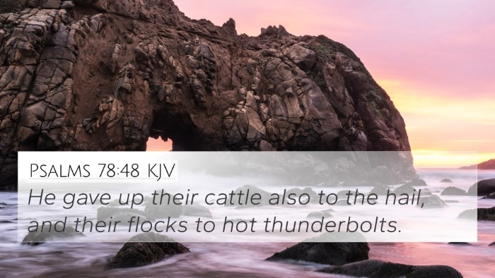 Psalms 78:48 KJV Bible Verse Image