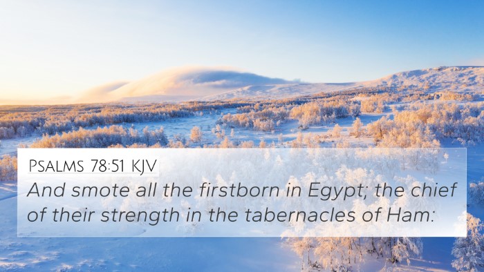 Psalms 78:51 KJV Bible Verse Image