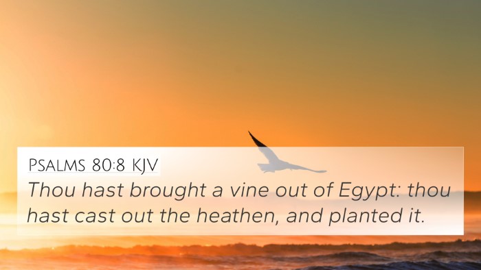 Psalms 80:8 KJV Bible Verse Image