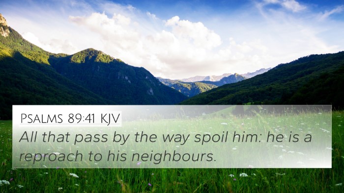 Psalms 89:41 Explained