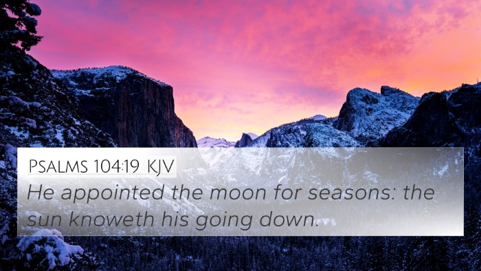 Psalms 104:19 KJV Bible Verse Image
