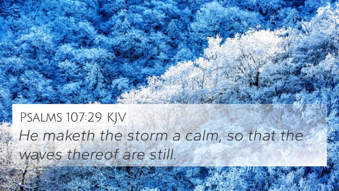 Psalms 107:29 KJV Bible Verse Image