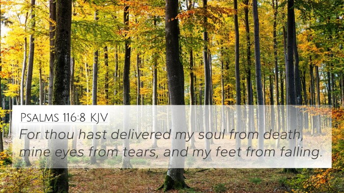 Psalms 116:8 KJV Bible Verse Image