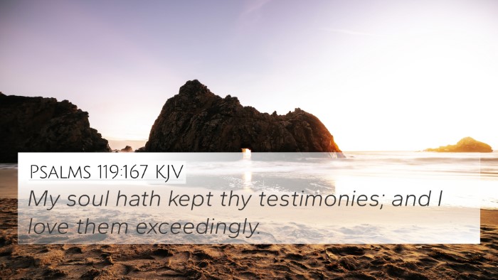 Psalms 119:167 Explained