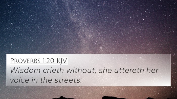 Proverbs 1:20 KJV Bible Verse Image