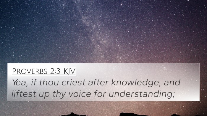 Proverbs 2:3 Explained