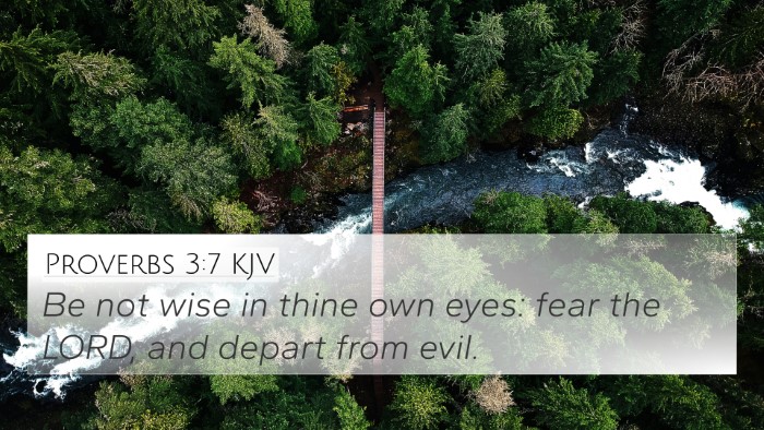 Proverbs 3:7 Explained