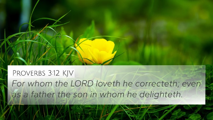Proverbs 3:12 Explained