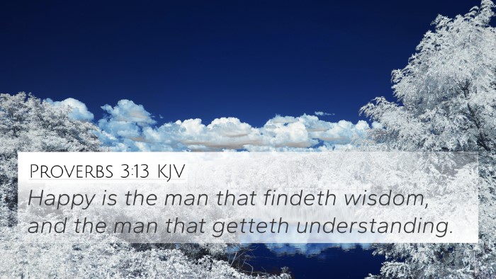 Proverbs 3:13 Explained