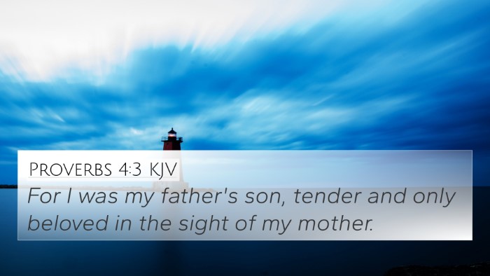 Proverbs 4:3 Explained