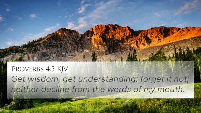 Proverbs 4:5 Explained