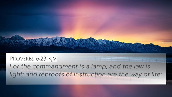 Proverbs 6:23 KJV Bible Verse Image