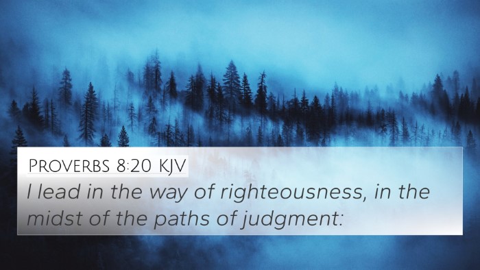 Proverbs 8:20 Explained