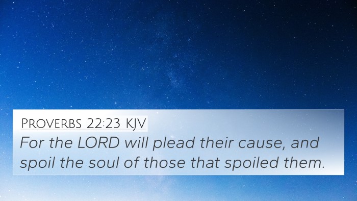 Proverbs 22:23 KJV Bible Verse Image