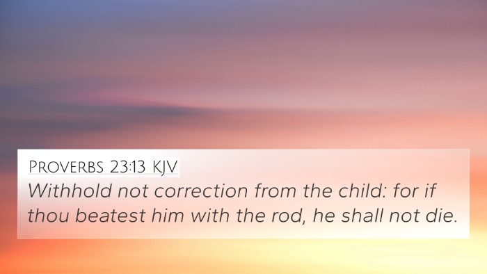 Proverbs 23:13 Explained