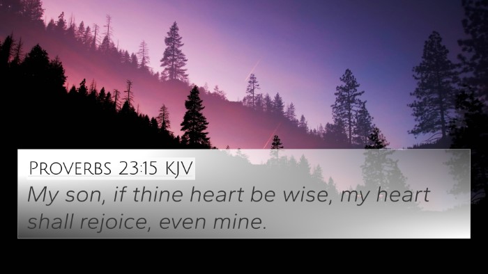 Proverbs 23:15 Explained