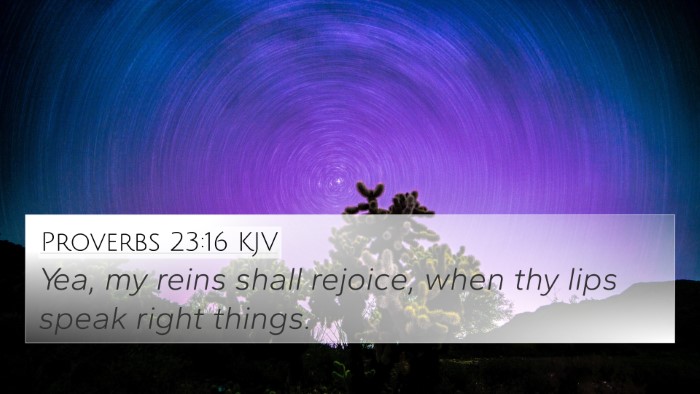 Proverbs 23:16 Explained