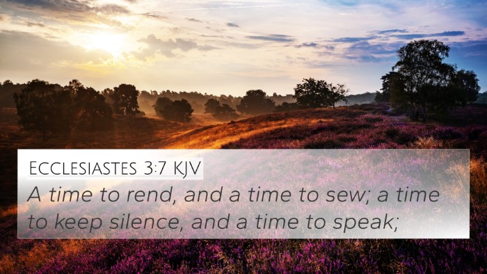 Ecclesiastes 3:7 KJV Bible Verse Image
