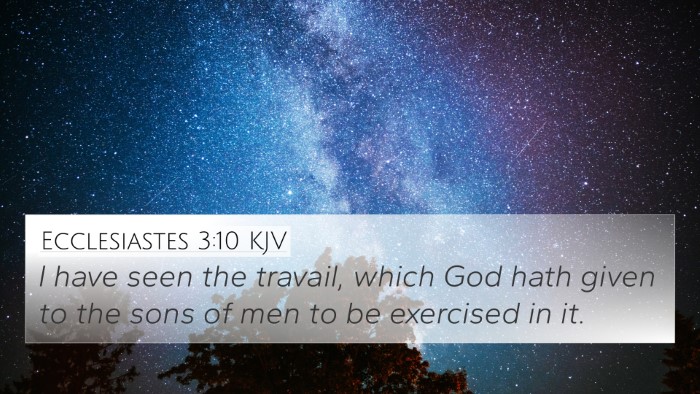 Ecclesiastes 3:10 KJV Bible Verse Image