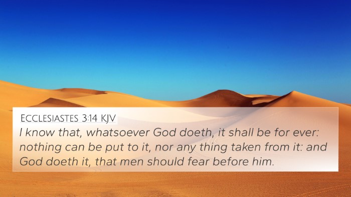 Ecclesiastes 3:14 KJV Bible Verse Image