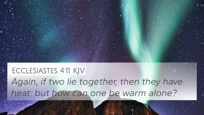 Ecclesiastes 4:11 KJV Bible Verse Image
