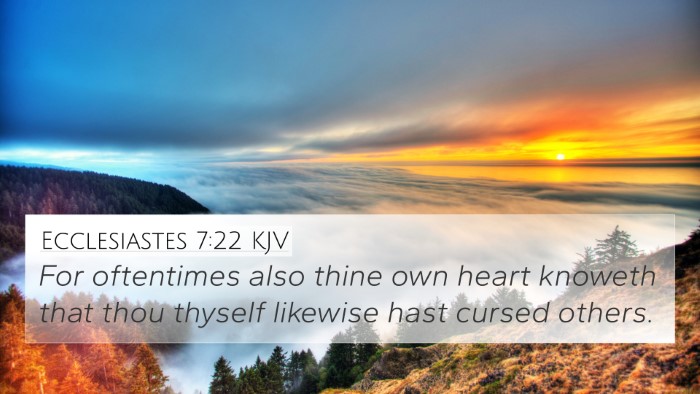 Ecclesiastes 7:22 KJV Bible Verse Image