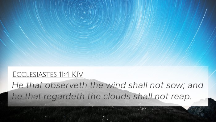 Ecclesiastes 11:4 KJV Bible Verse Image