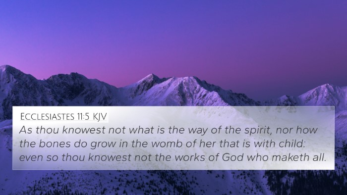 Ecclesiastes 11:5 KJV Bible Verse Image