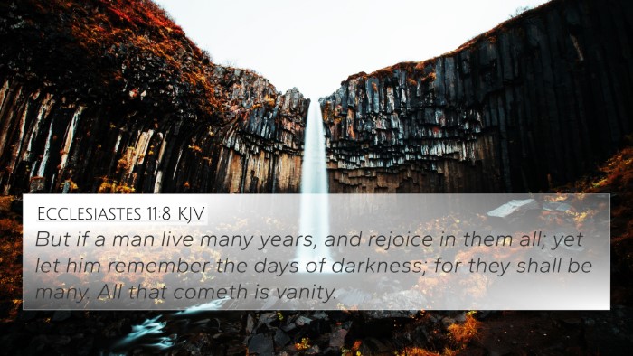 Ecclesiastes 11:8 KJV Bible Verse Image