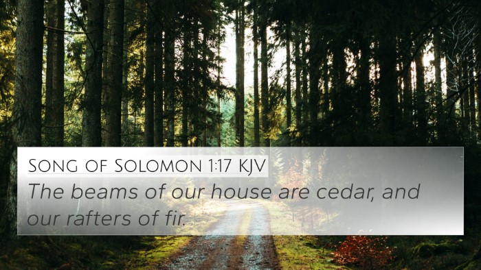 Song of Solomon 1:17 KJV Bible Verse Image