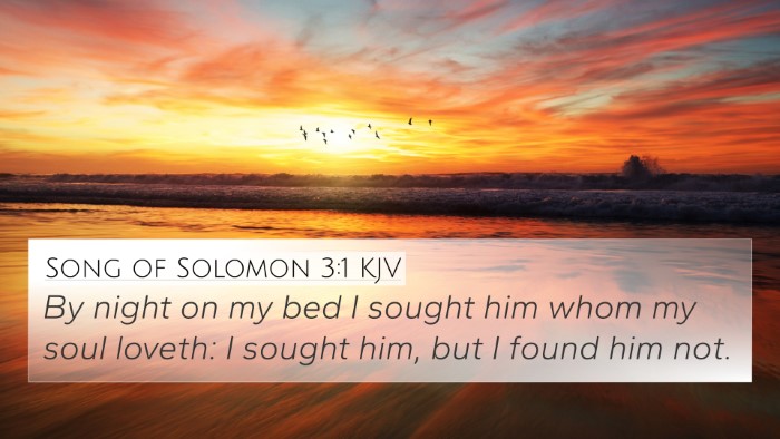 Song of Solomon 3:1 KJV Bible Verse Image