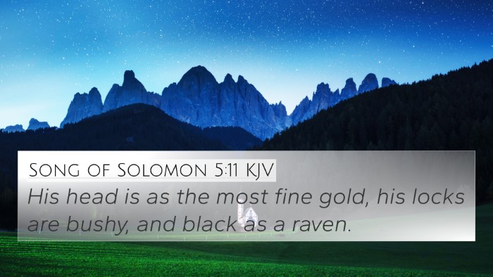 Song of Solomon 5:11 KJV Bible Verse Image
