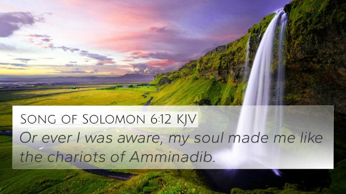 Song of Solomon 6:12 KJV Bible Verse Image