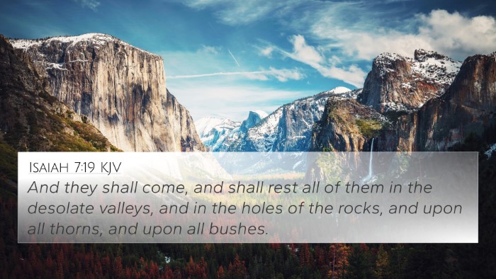 Isaiah 7:19 Explained