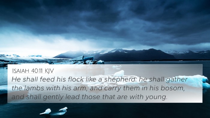 Isaiah 40:11 KJV Bible Verse Image
