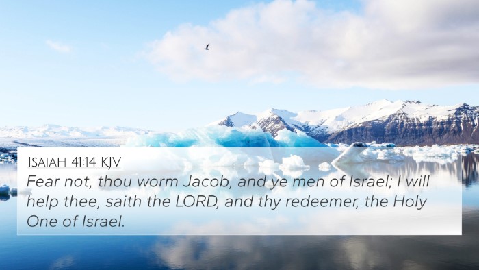 Isaiah 41:14 KJV Bible Verse Image