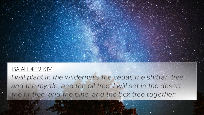 Isaiah 41:19 KJV Bible Verse Image