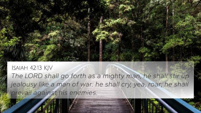 Isaiah 42:13 KJV Bible Verse Image