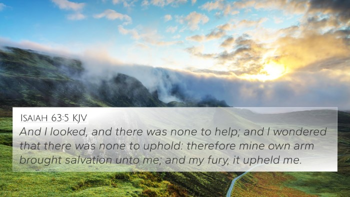 Isaiah 63:5 KJV Bible Verse Image