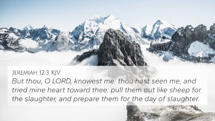 Jeremiah 12:3 Explained