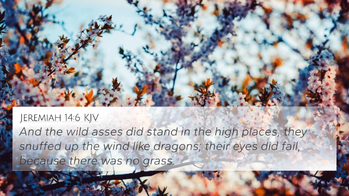 Jeremiah 14:6 Explained